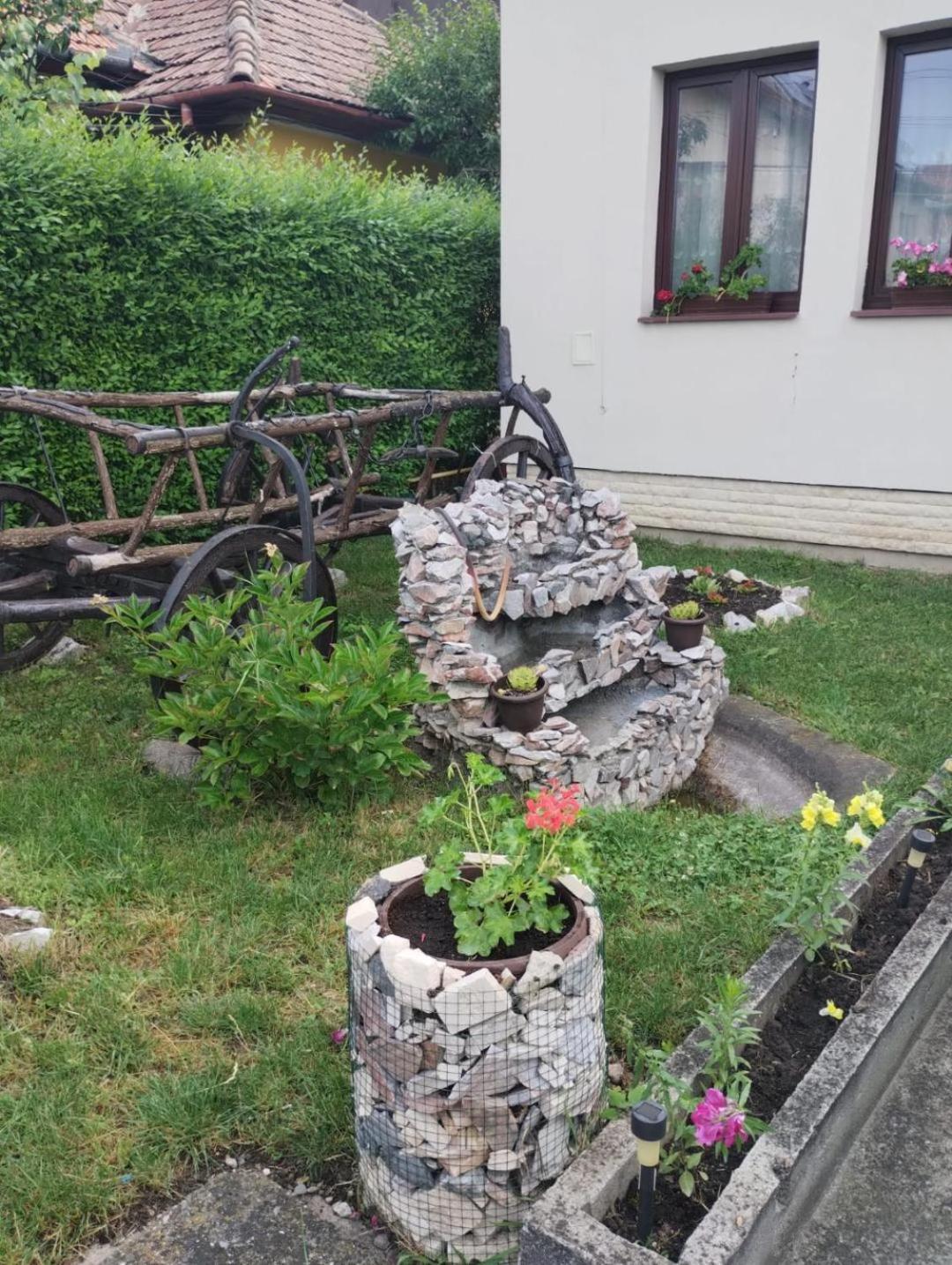 Casa Darius Cluj Apartment Bagian luar foto